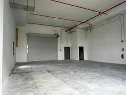 Ct Foodnex (D25), Factory #635444041